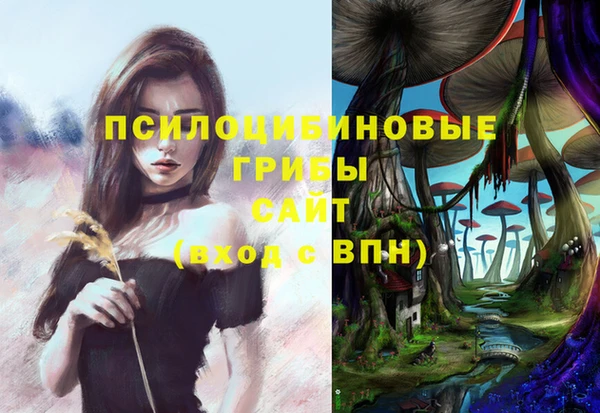 прущий лед Губаха